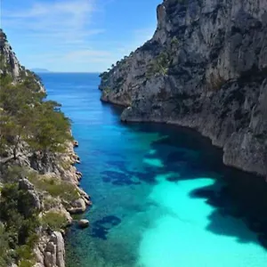 Indigo Cassis